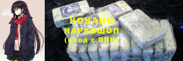 гашик Алексин