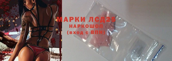 гашик Алексин