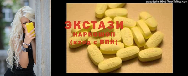 гашик Алексин