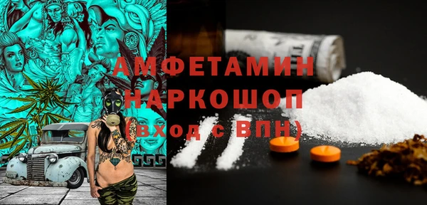 гашик Алексин