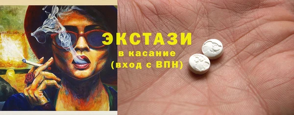 гашик Алексин