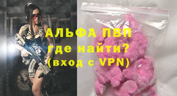 гашик Алексин