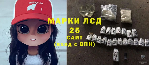 гашик Алексин